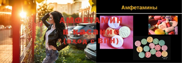 сатива Бронницы
