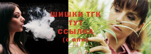 таблы Бородино