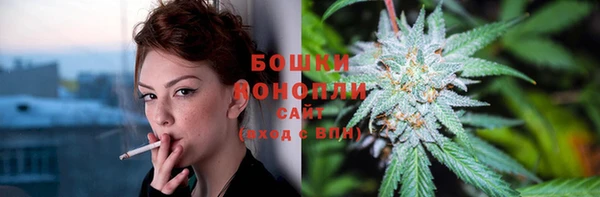таблы Бородино
