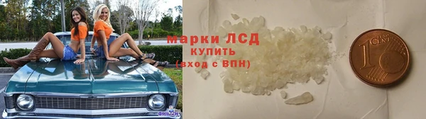 сатива Бронницы