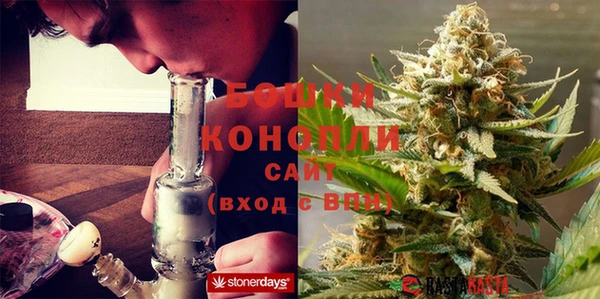 сатива Бронницы
