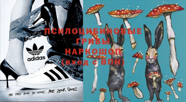 таблы Бородино