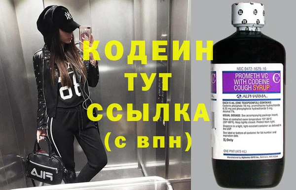 таблы Бородино