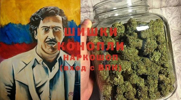 сатива Бронницы