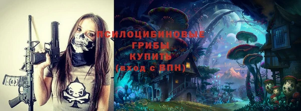 таблы Бородино