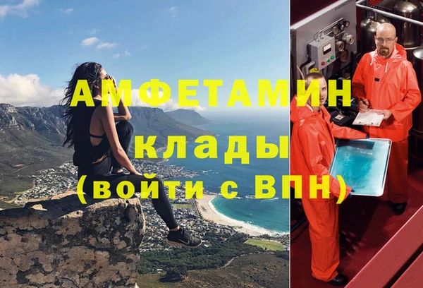 сатива Бронницы