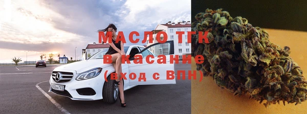 таблы Бородино