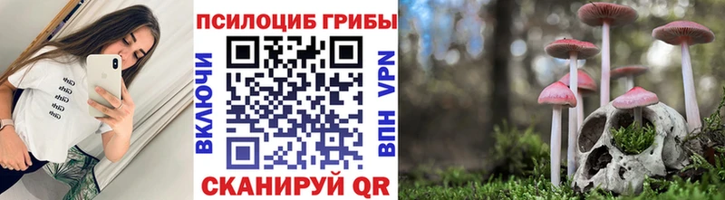 omg онион  купить наркотики цена  Венёв  shop наркотические препараты  Галлюциногенные грибы GOLDEN TEACHER 
