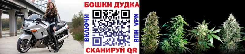 Конопля семена гидра рабочий сайт darknet какой сайт Венёв